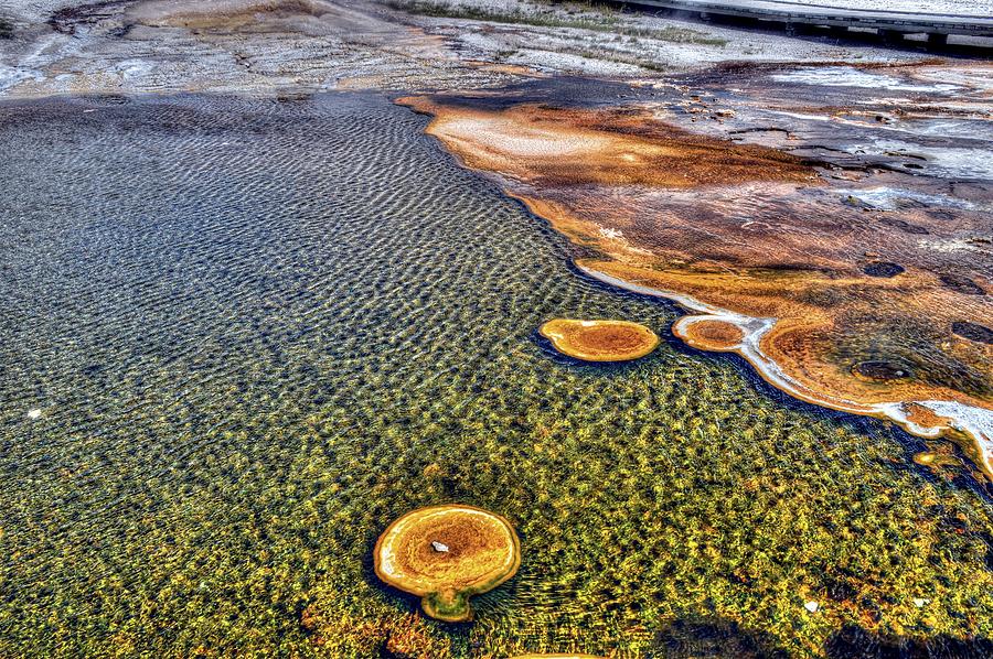 Yellowstone national park in Wyoming USA #2 Photograph by Paul James Bannerman