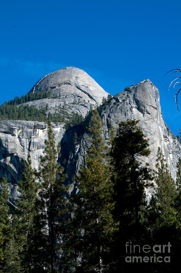 Yosemite National Park Photograph - Yosemite National Park #2 by Mark Newman