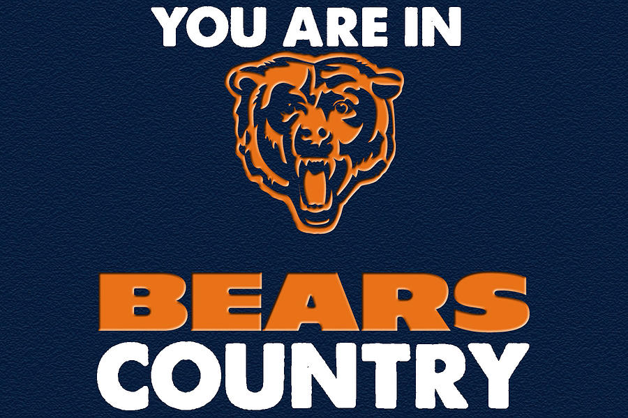 You Are In Bears Country Painting