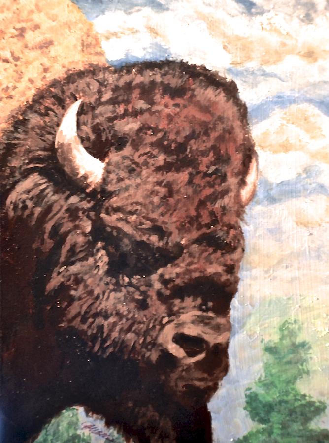 Buffalo Mixed Media - Young Bull At Yellowstone by Jim Ellis