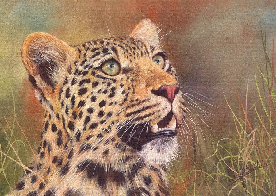 Young Leopard #2 Painting by David Stribbling