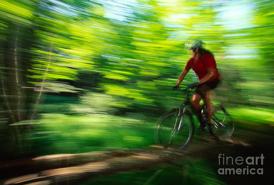 Young man mountain biking in a forest Stowe VT USA #2 Photograph by Don Landwehrle