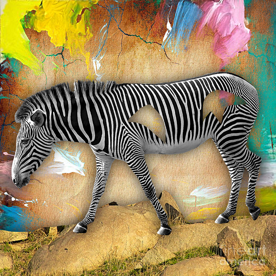 Zebra Mixed Media - Zebra Collection by Marvin Blaine