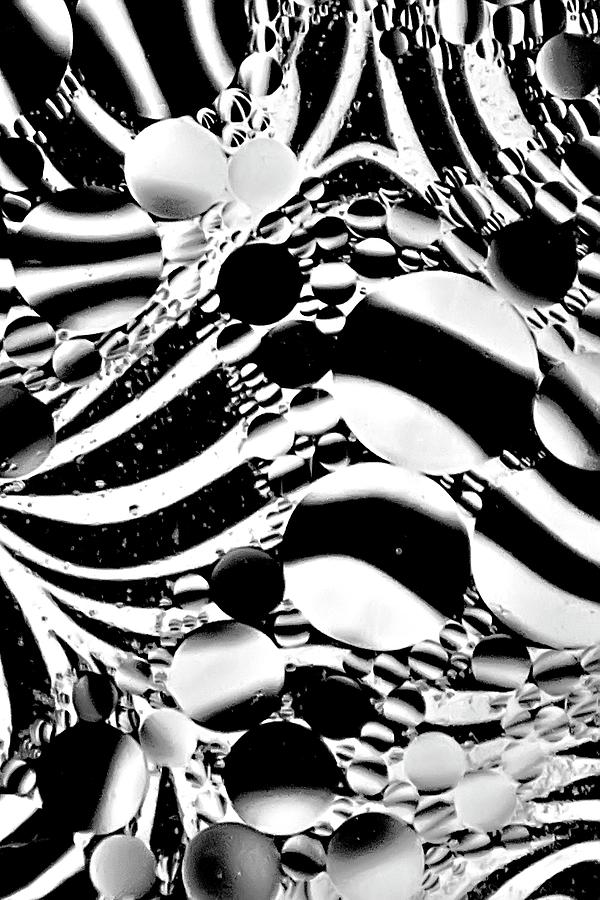 Zebra Through Oil Photograph by Geraldine Alexander