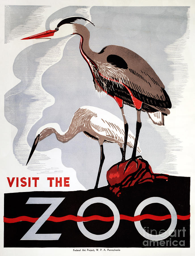 ZOO POSTER c1936 #3 Photograph by Granger