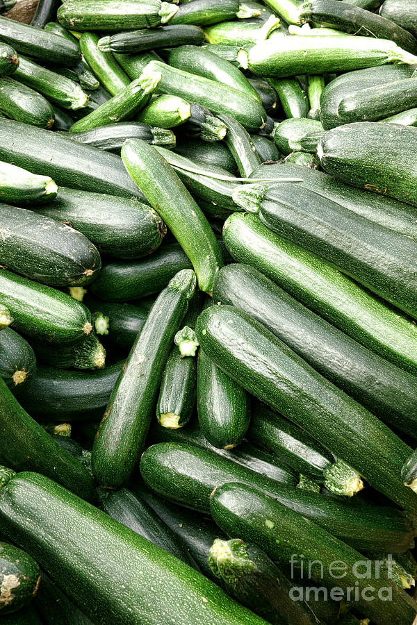 Vegetable Photograph - Zucchini Galore by Olivier Le Queinec