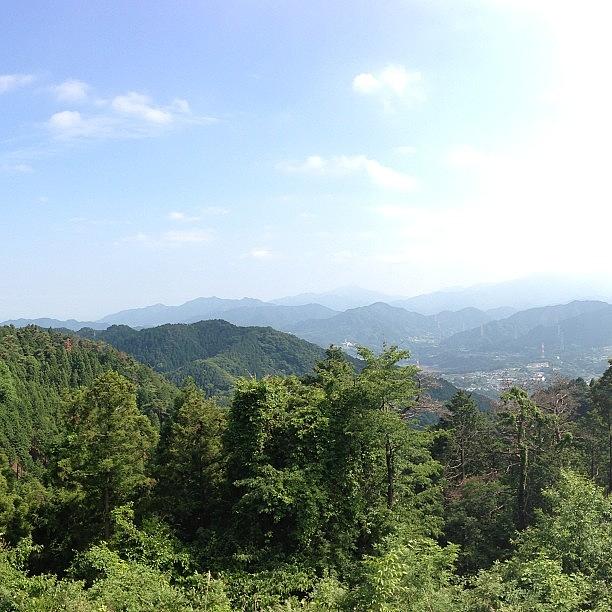 景信山から高尾山へ！ #20 Photograph by Tokyo Sanpopo