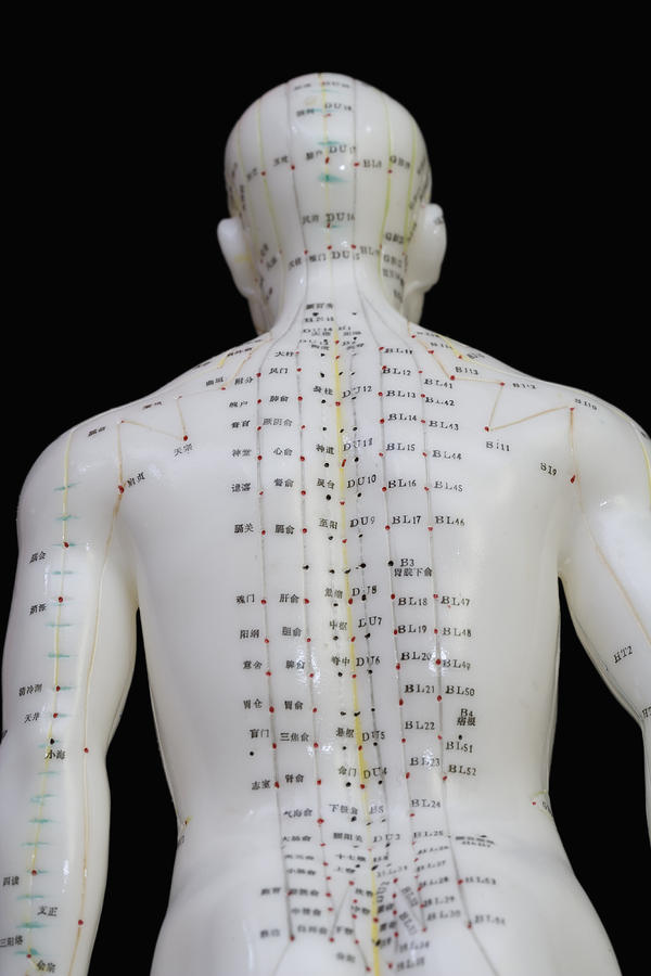 Acupuncture Points #20 Photograph by Science Stock Photography