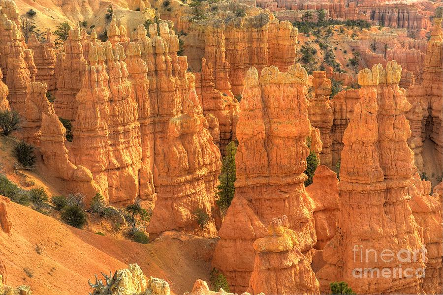 Bryce Canyon #20 Photograph by Marc Bittan