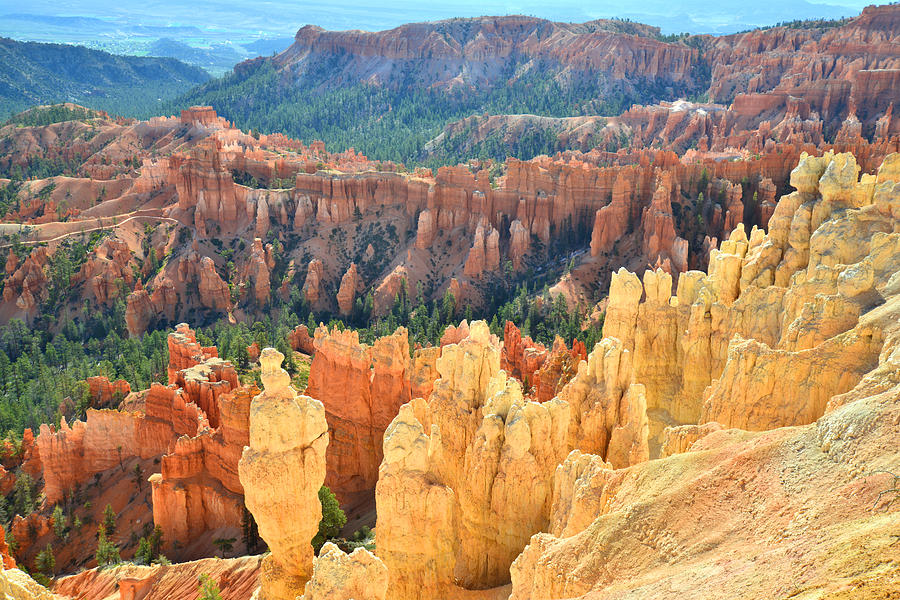 Bryce Canyon National Park Photograph - Bryce Canyon #25 by Ray Mathis