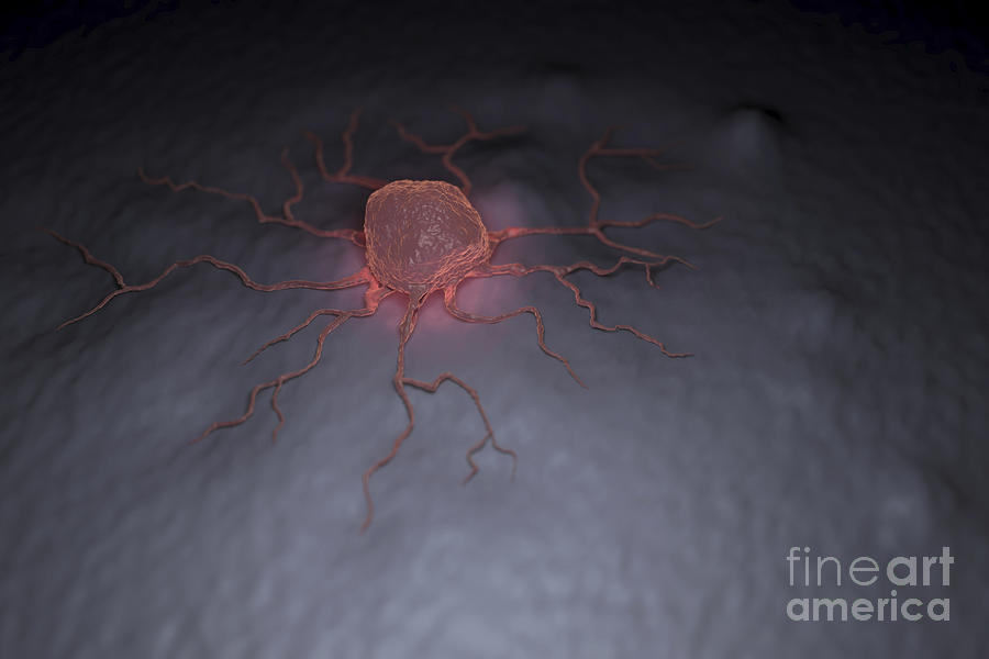 Cancer Cell #17 Photograph by Science Picture Co