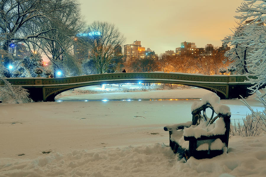 Central Park winter #20 Photograph by Songquan Deng
