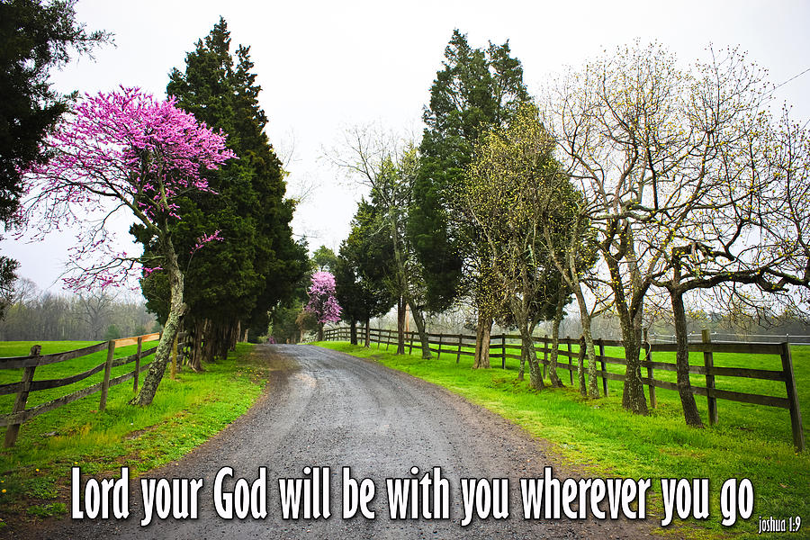 Nature Photograph - Christian Posters With Bible Verses #21 by Raja Bandi