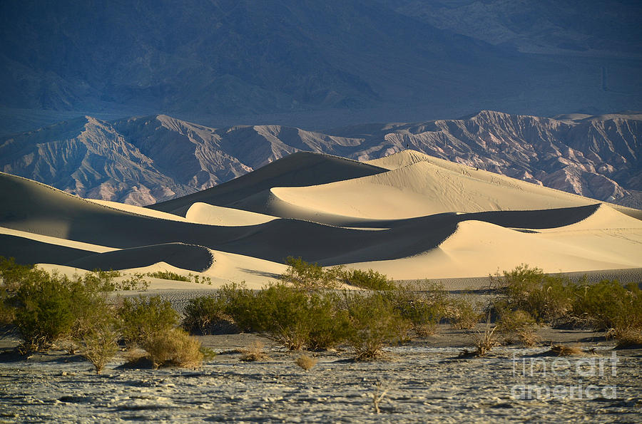 Death Valley #20 Photograph by Marc Bittan