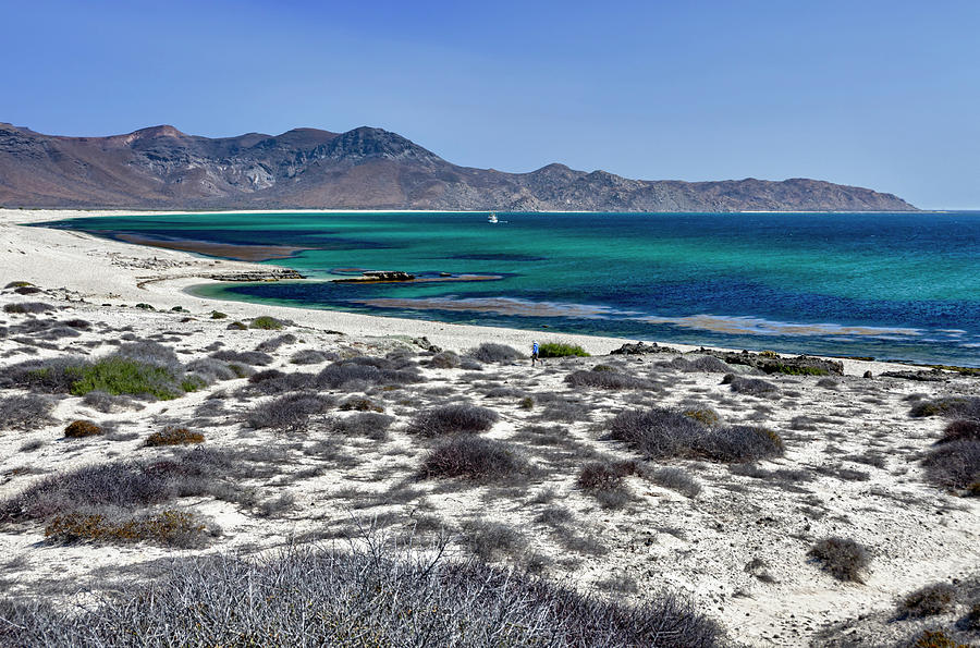 Baja Photograph - Isla De Espiritu Santo, Baja, Mexico #20 by Mark Williford