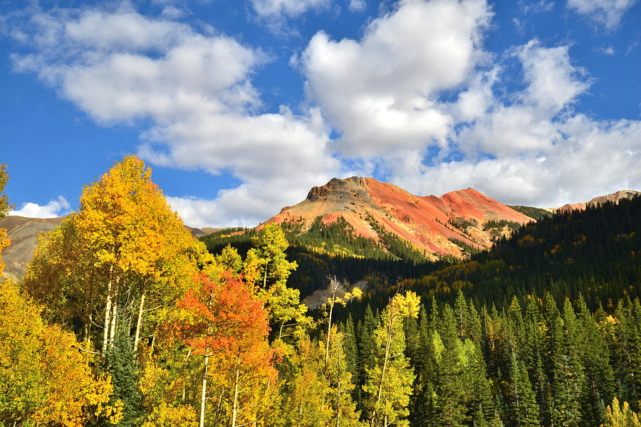 Red Mountain Pass Fall Colors #22 Photograph by Ray Mathis