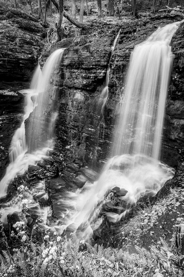 Waterfalls George W Childs National Park Painted BW   #20 Photograph by Rich Franco