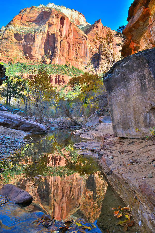 Zion National Park #31 Photograph by Ray Mathis