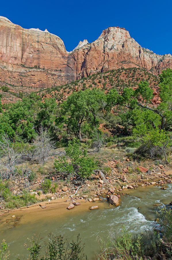 Zion National Park #20 Photograph by Willie Harper