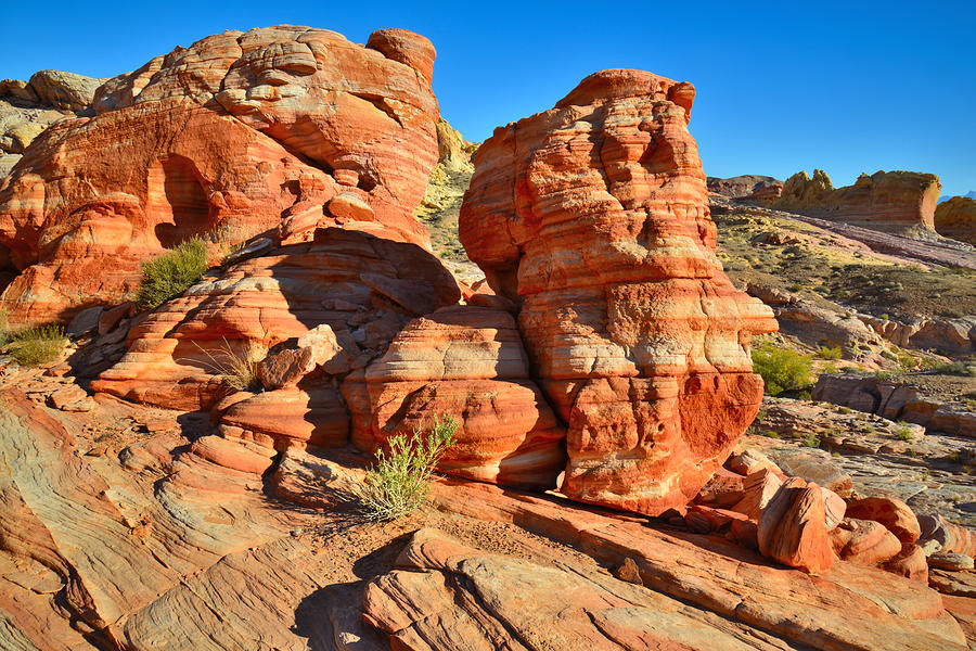 Valley of Fire #462 Photograph by Ray Mathis