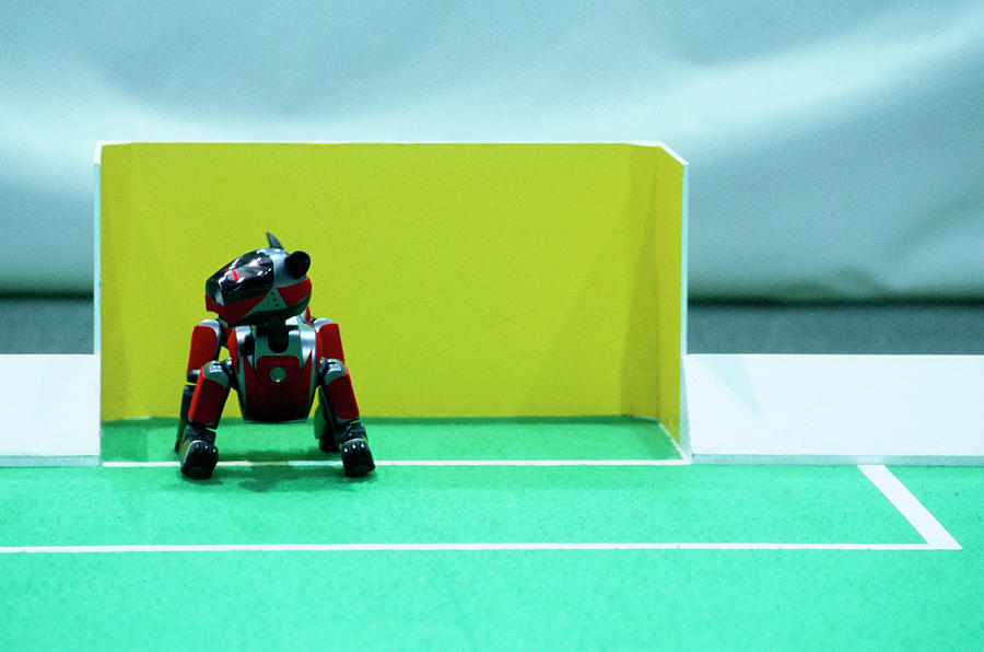 2003 Robocup Goalkeeper Photograph by Mauro Fermariello/science Photo Library