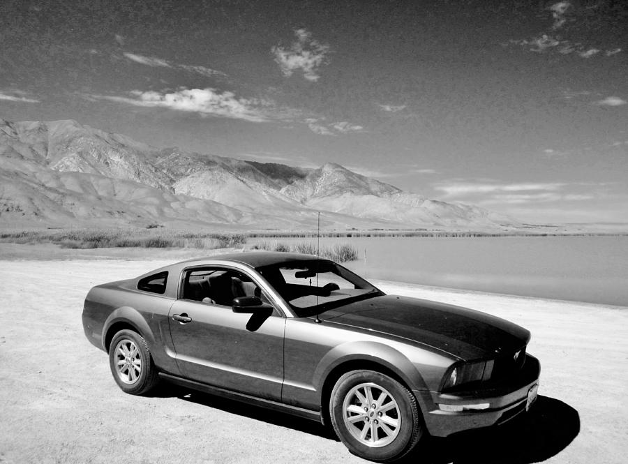 2006 Ford Mustang Coupe Photograph by Marilyn Diaz