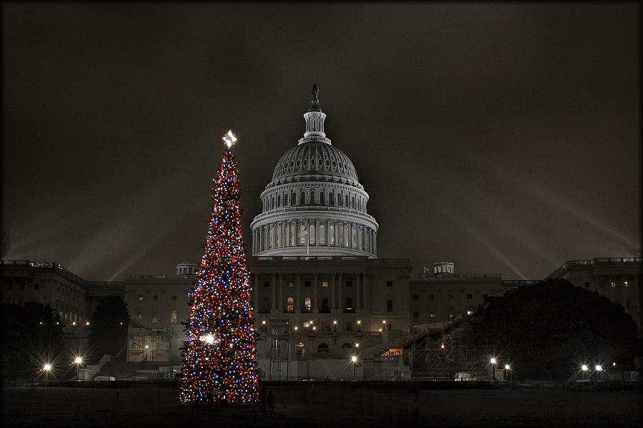 2008 Capitol Christmas Photograph by Erika Fawcett
