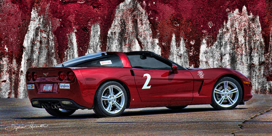 2008 Corvette Photograph by Sylvia Thornton