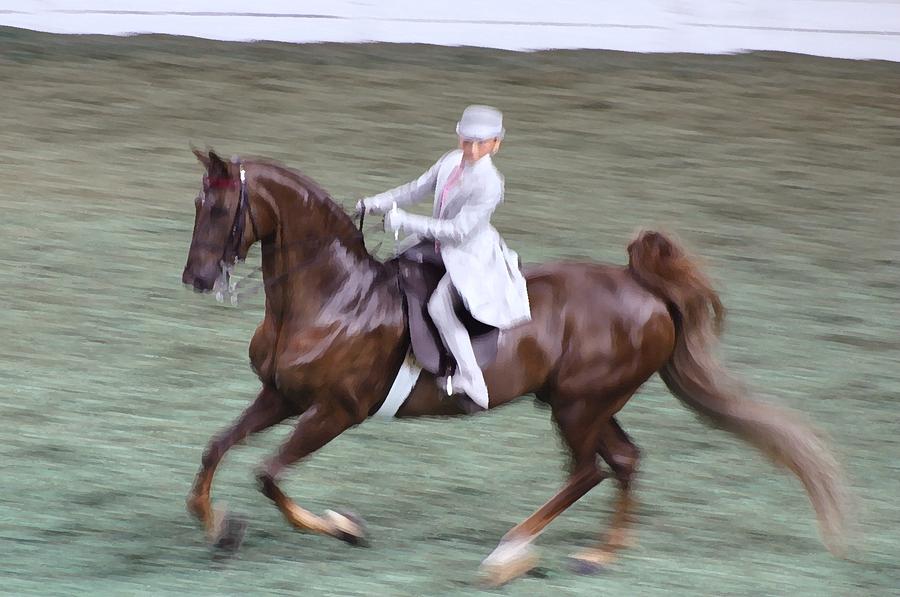 2008h World Championship Horse Show Louisville Ky Photograph by Thia