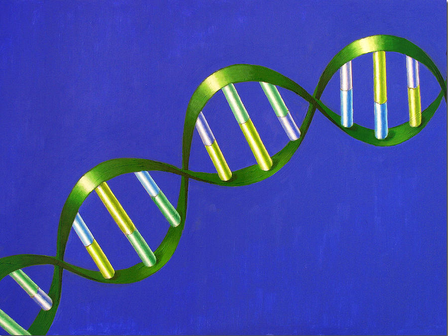 Днк в 46. ДНК В живописи. ДНК портрет. ДНК портрет нации. ДНК картина маслом.