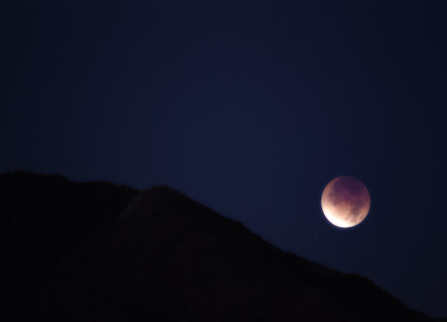 2010 Moon Eclipse Photograph by Sandra Selle Rodriguez