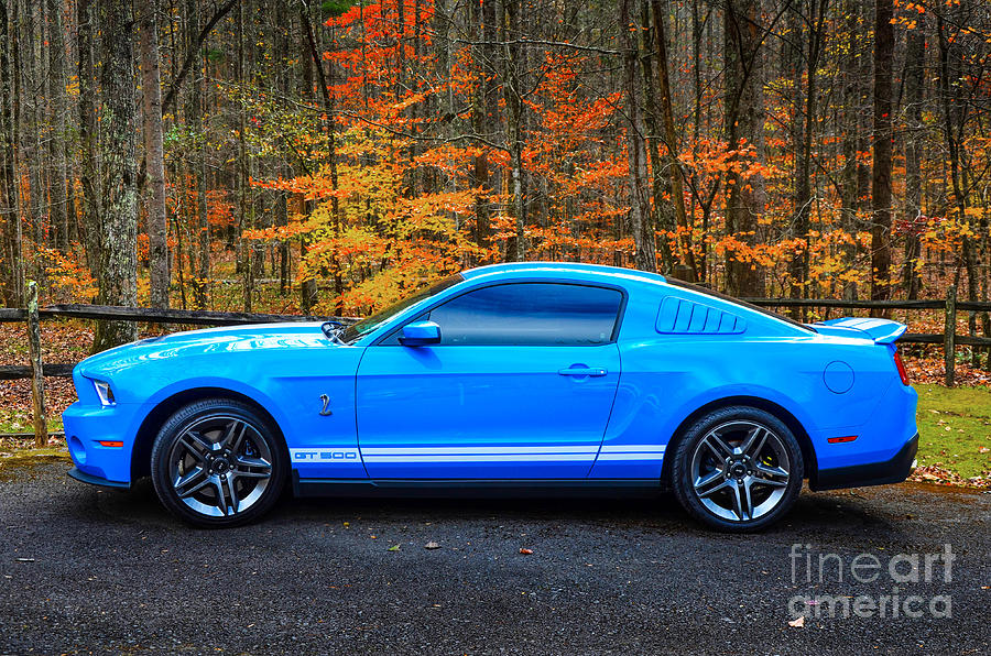 2010 Shelby GT500 Photograph by Paul Mashburn