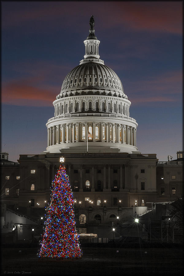 2012 Capitol Christmas Photograph by Erika Fawcett