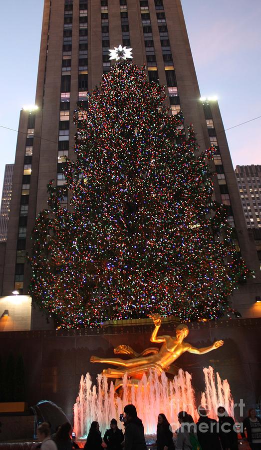  NYC Christmas Tree at Rockefeller Center Photograph by John Telfer
