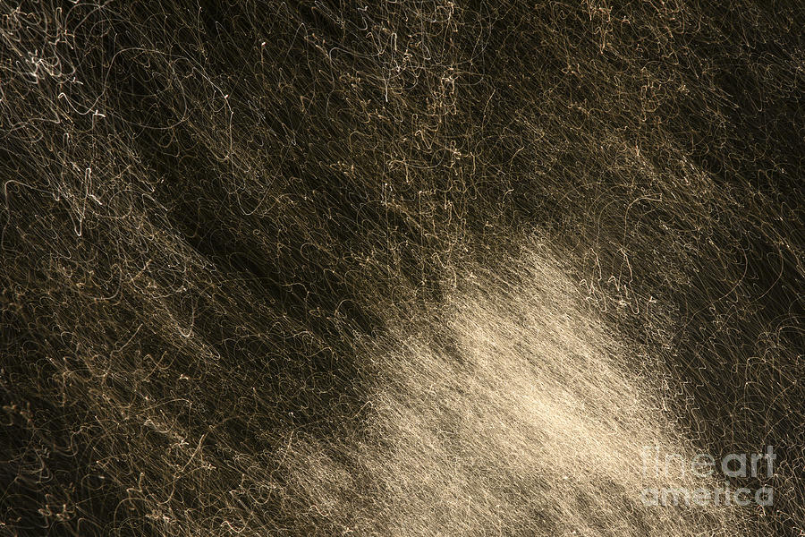 2013-11-14-2 by Gerald Grow 2013-11-14-2 by Gerald Grow