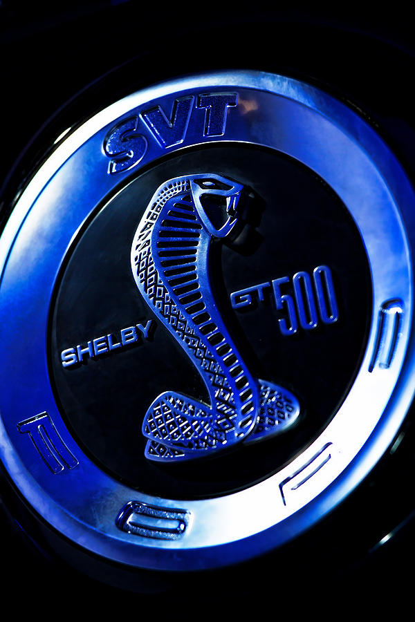 2013 Ford Mustang Shelby GT 500 Photograph by Gordon Dean II