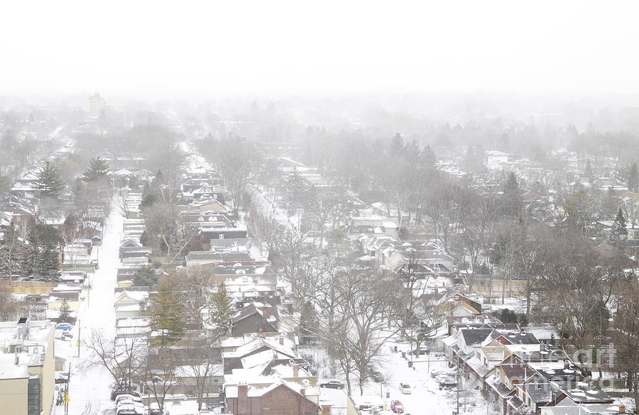 2013 January 31 Toronto Snow Photograph by Charline Xia