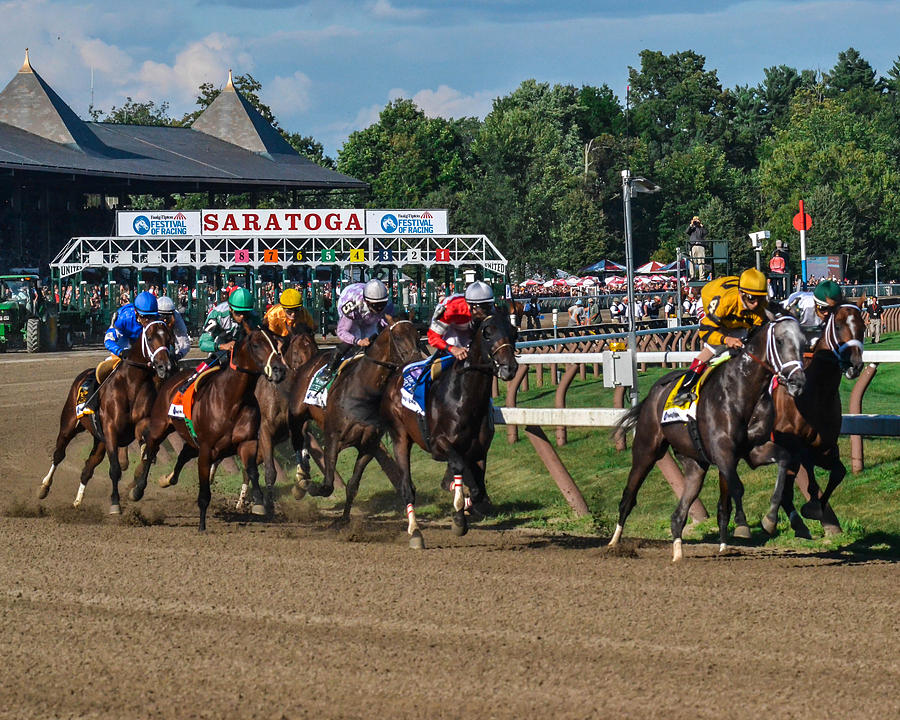 Horse Photograph - 2013 Whitney Stakes by William Stephen