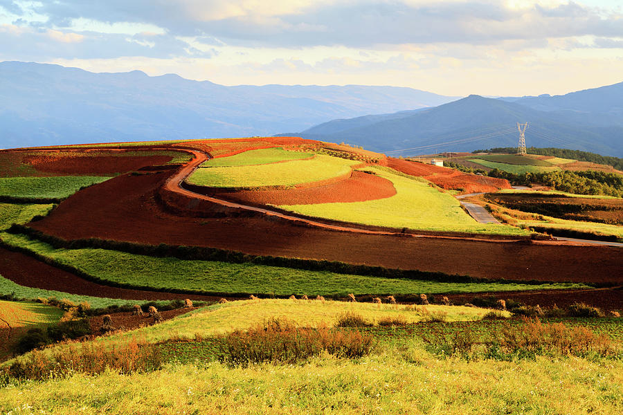 201311dongchuan Red Land Photograph by Mraz