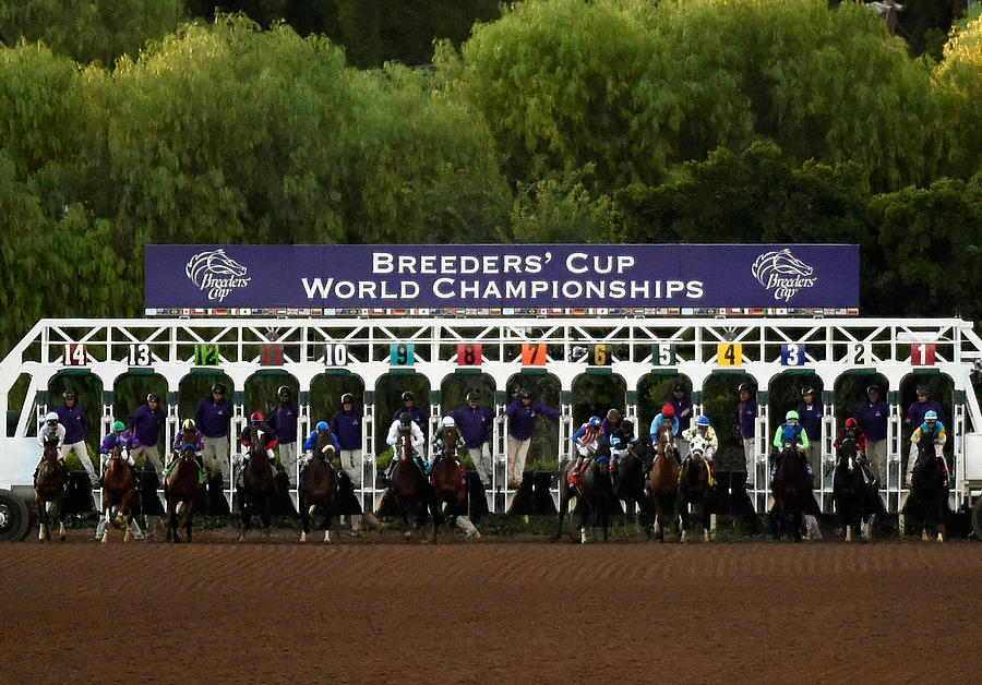 2014 Breeders Cup Classic Photograph by Kevork Djansezian
