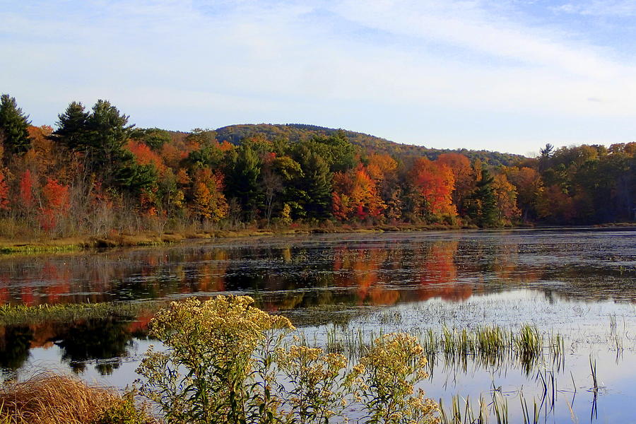 2014 Fall in New England Photograph by Lois Lepisto