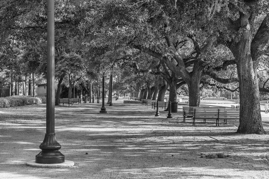 Houston Photograph - 201406280-016K Tree covered path by Alan Tonnesen