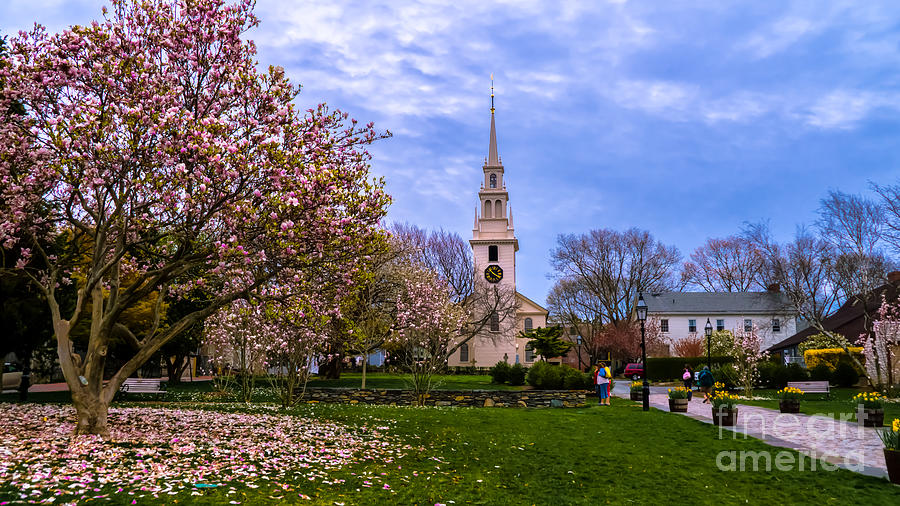 Springtime in Newport Rhode Island Photograph by New England Photography