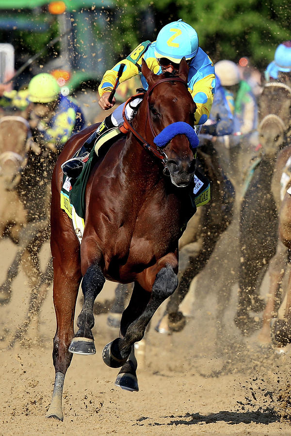 2015 Kentucky Derby Photograph by Andy Lyons