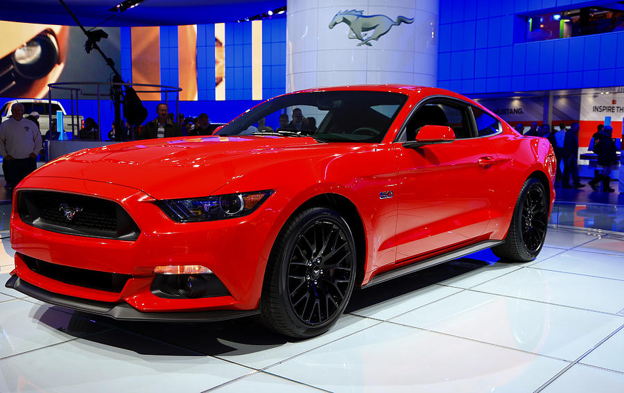 2015 Mustang in Red Photograph by Rachel Cohen