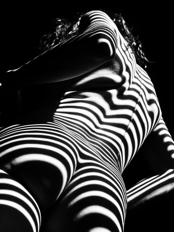 Black And White Photograph - 2070 Nude Woman Zebra Stripes from Below   by Chris Maher