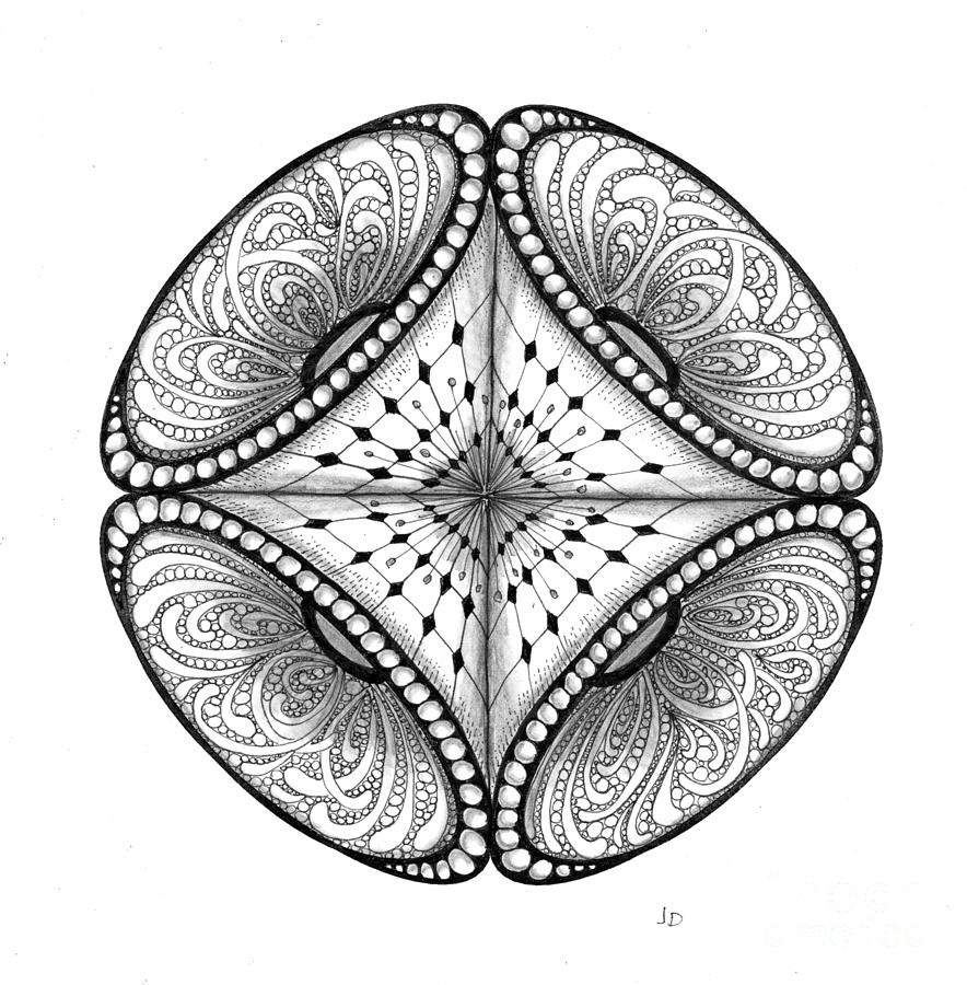 21 4 Pt Symmetry Drawing by Jeanne Donovan