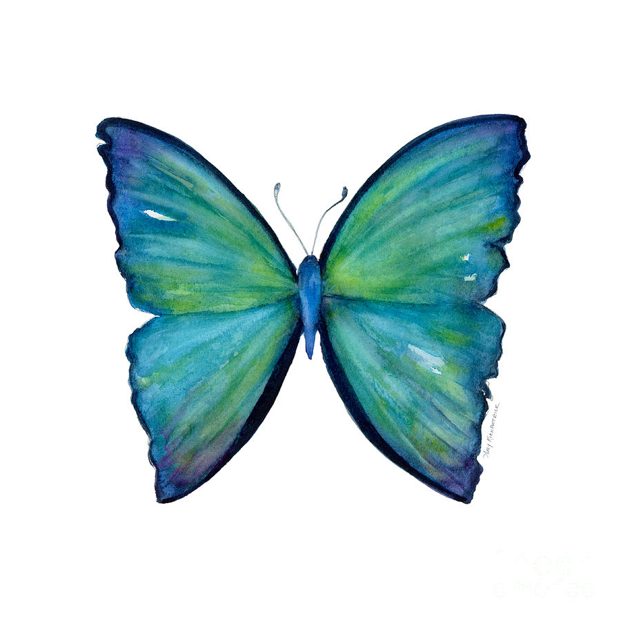 21 Blue Aega Butterfly Painting by Amy Kirkpatrick