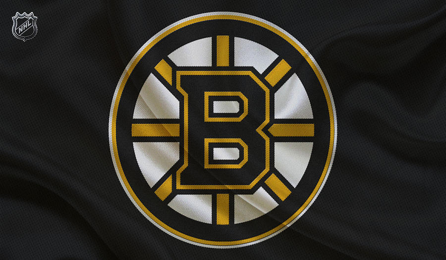 Boston Bruins Photograph by Joe Hamilton - Fine Art America