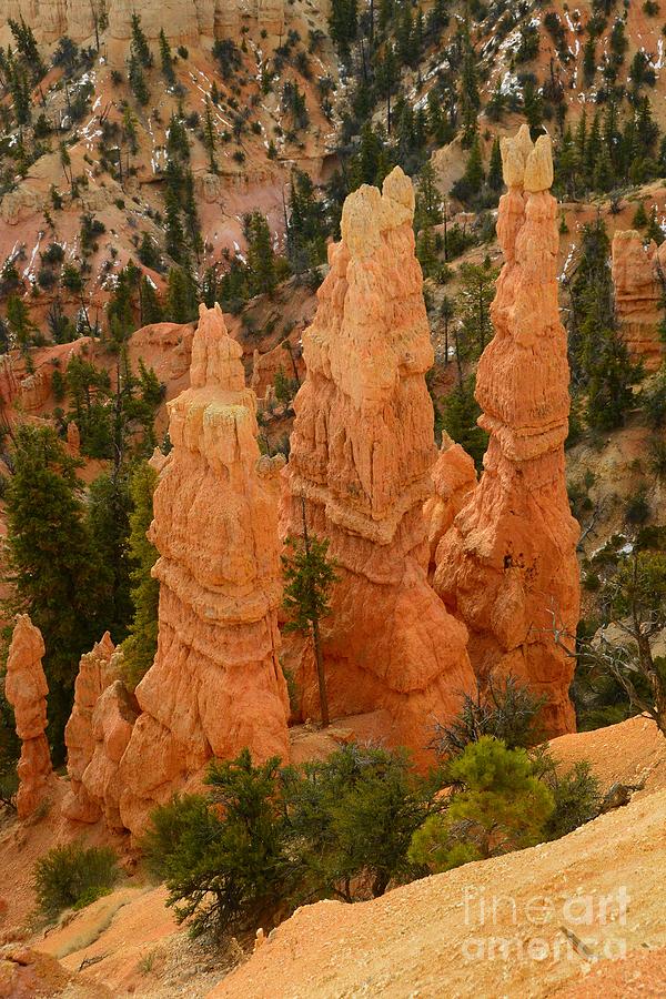 Bryce Canyon  #21 Photograph by Marc Bittan